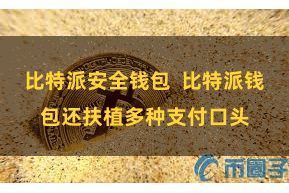 比特派安全钱包  比特派钱包还扶植多种支付口头