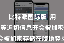 比特派国际版  用户的私钥等迫切信息齐会被加密存储在腹地竖立中