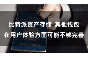 比特派资产存储  其他钱包在用户体验方面可能不够完善