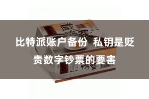 比特派账户备份  私钥是贬责数字钞票的要害