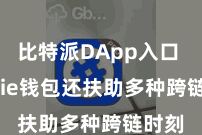 比特派DApp入口  Bitpie钱包还扶助多种跨链时刻