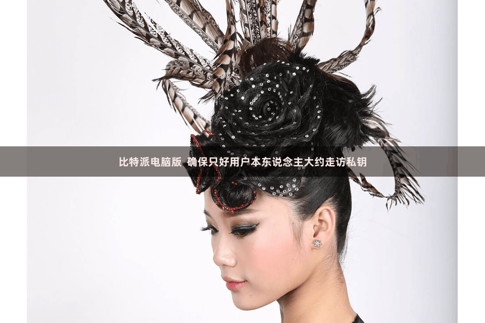 比特派电脑版  确保只好用户本东说念主大约走访私钥